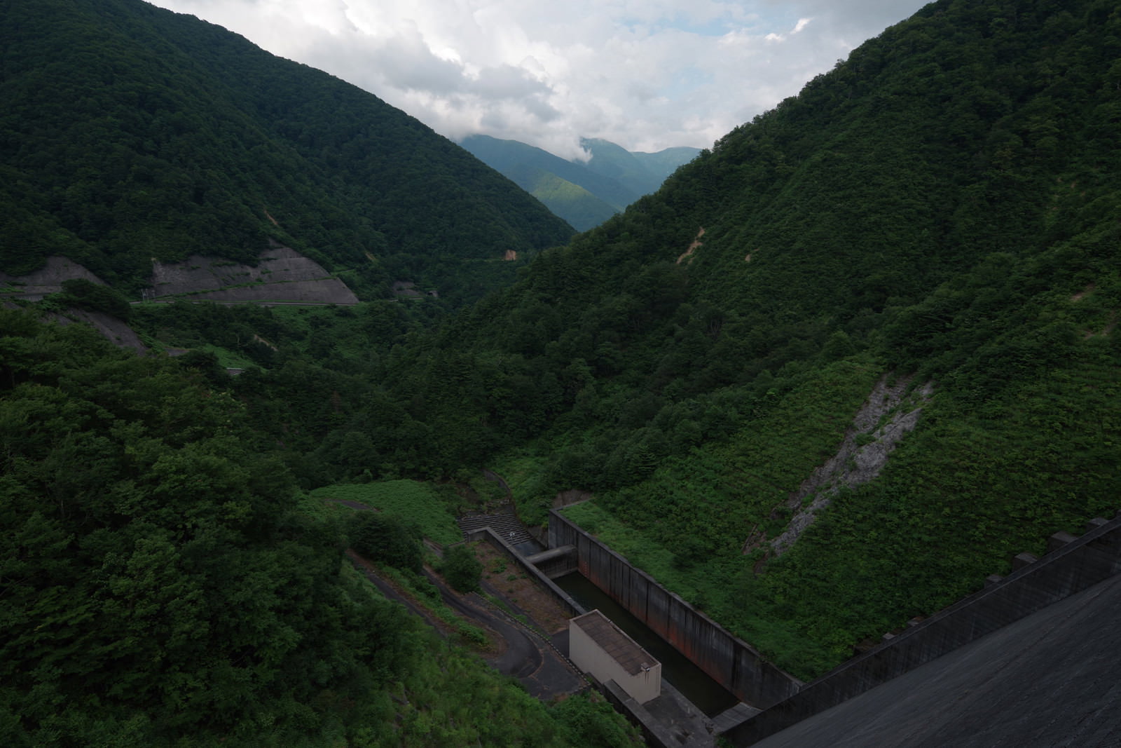 富山県南砺市の山間部、ダム上から見下ろす緑豊かな森林と谷の風景