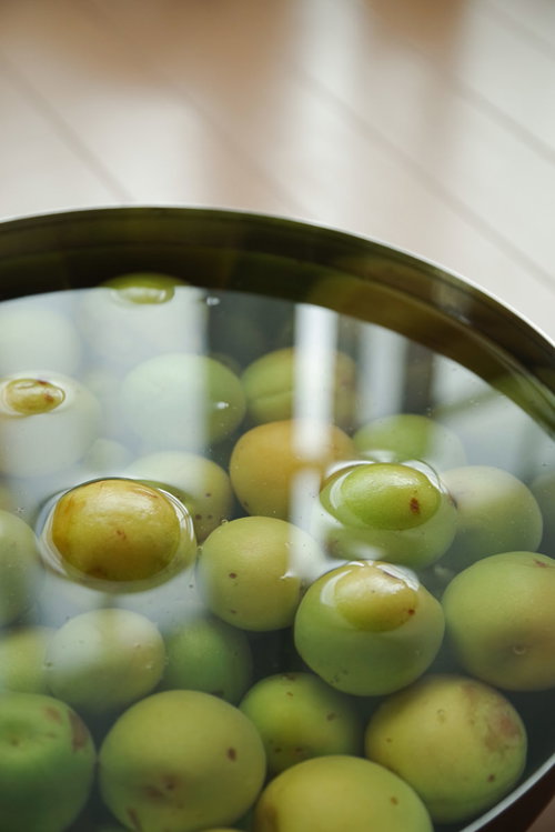 青梅のアク抜き・水に浸けた梅仕事の仕込み