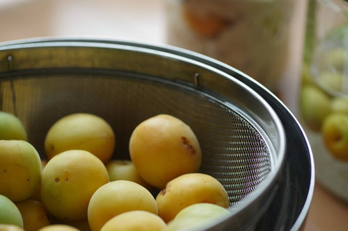 青梅を水切り（梅酒の下ごしらえ）