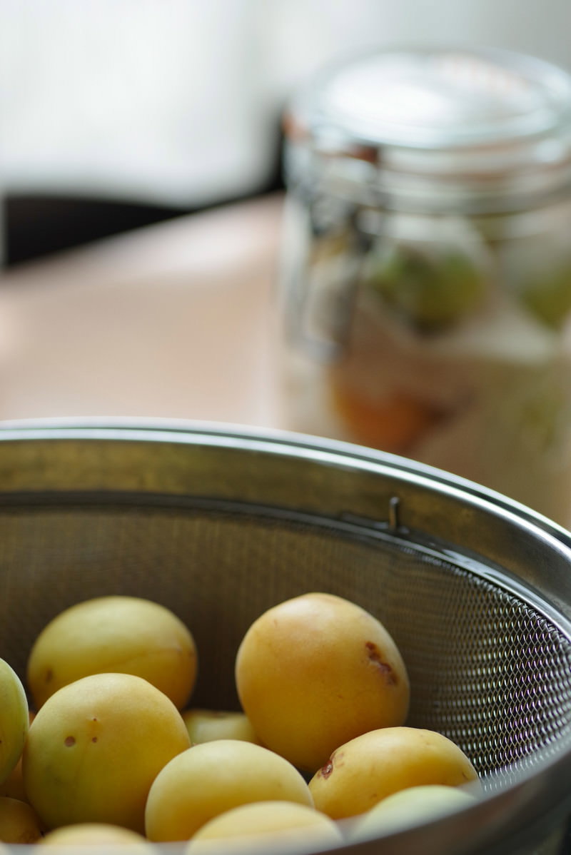 ざるで水切りする仕込み前の梅