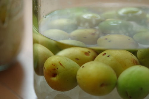 青梅と角砂糖を瓶に詰める手作り梅酒の仕込み