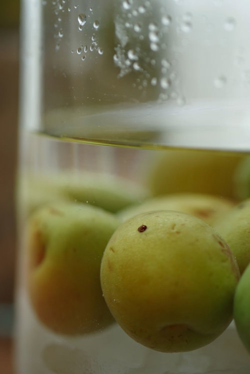 ガラス瓶で仕込む自家製梅酒と青梅の保存方法