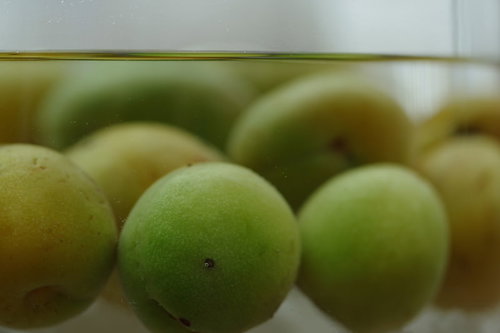 ガラスの瓶に青梅を漬ける梅シロップ作りの準備風景