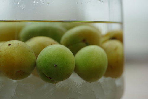 ガラス瓶でたっぷり漬けた梅シロップの青梅