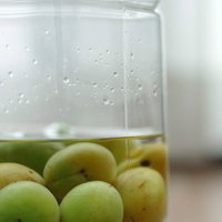 透明なガラス瓶に入った青梅による自家製梅酒の仕込みの写真