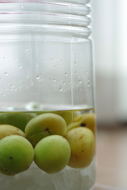 透明なガラス瓶に入った青梅による自家製梅酒の仕込み