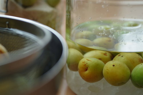 瓶漬け梅シロップの青梅と果実酒瓶、季節の手仕事