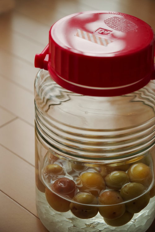 赤い蓋の果実酒瓶に詰まる青梅と角砂糖の手作り梅酒