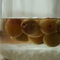 自家製梅酒を漬ける青梅と果実酒瓶、砂糖漬けの準備の写真