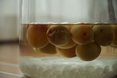 自家製梅酒を漬ける青梅と果実酒瓶、砂糖漬けの準備