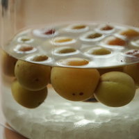 青梅がたっぷり詰まった透明な保存瓶の自家製梅酒の写真
