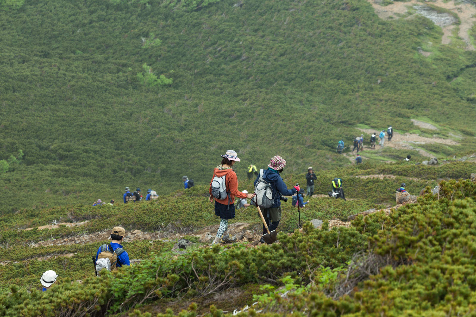 乗鞍新登山道を歩く複数の登山者達が山道を進む様子