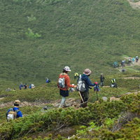 乗鞍新登山道を歩く登山者達の下山風景と山道の景観の写真