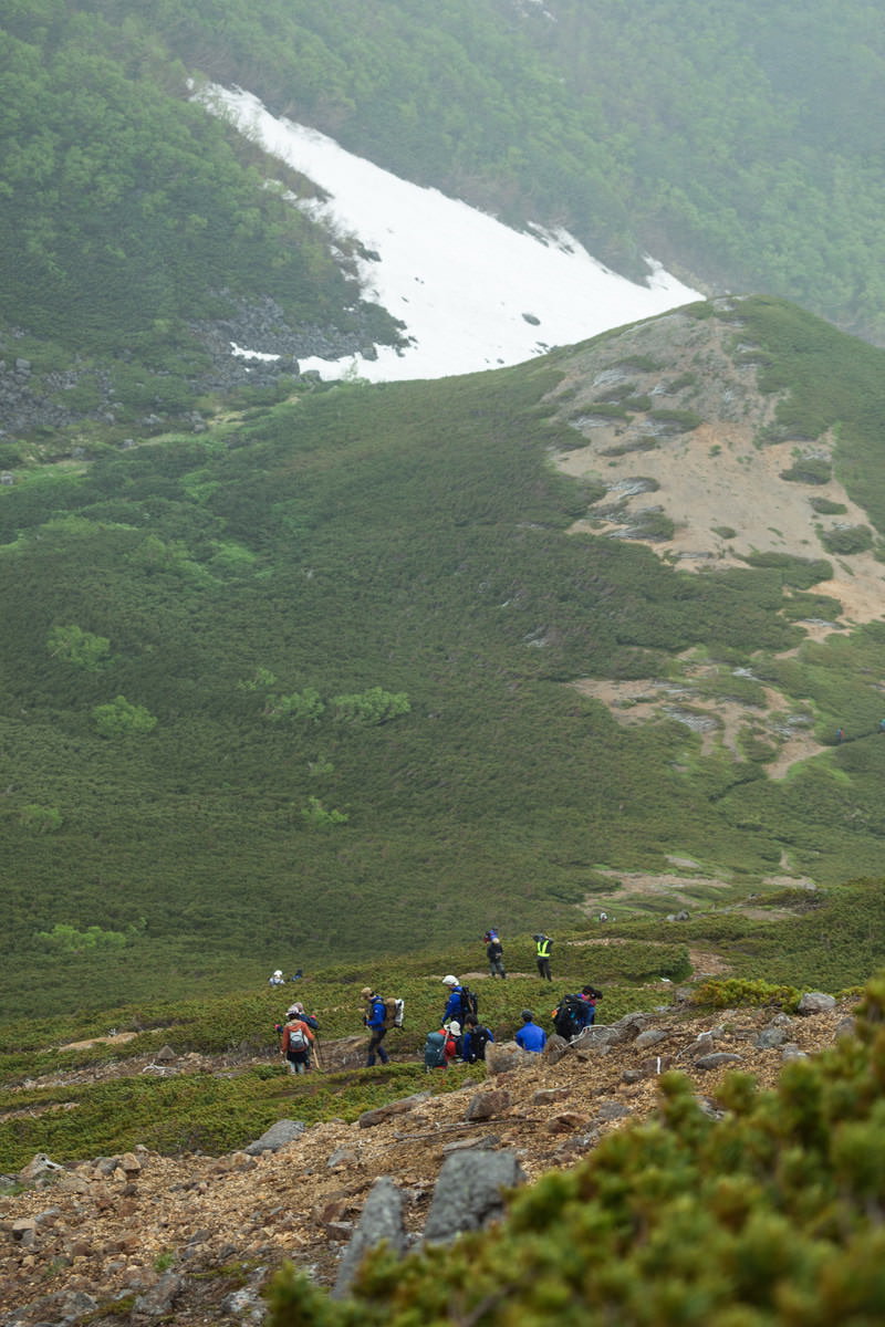 緑の山肌を背景に傾斜のある登山道を一列で下山する登山者たち