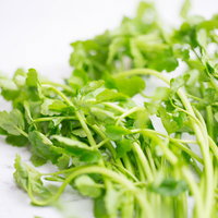 刻んだセリの葉と茎、白い皿に盛り付けた薬味の写真