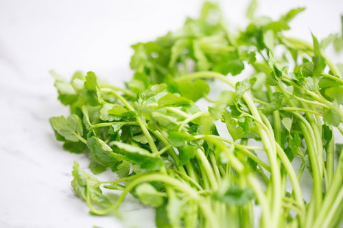 刻んだセリの葉と茎、白い皿に盛り付けた薬味