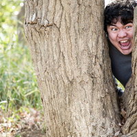 進捗まだですかぁ～？木の陰から覗く不審な男性の恐怖表情の写真