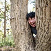 木の隙間から顔を覗かせる男性の偵察シーンの写真