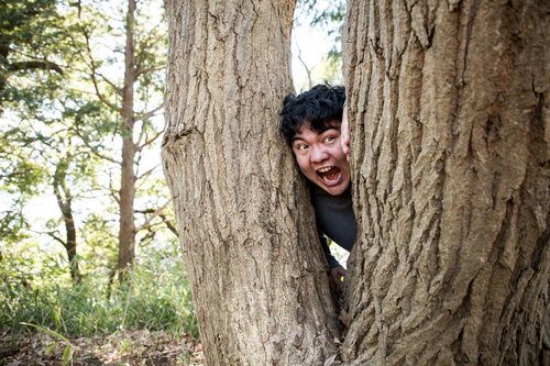 木の隙間から顔を覗かせる男性の偵察シーン