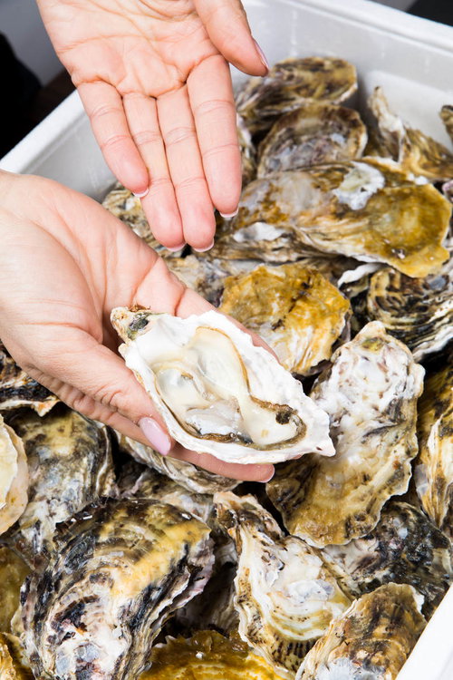 おいしくて新鮮な生牡蠣はいかがですか？