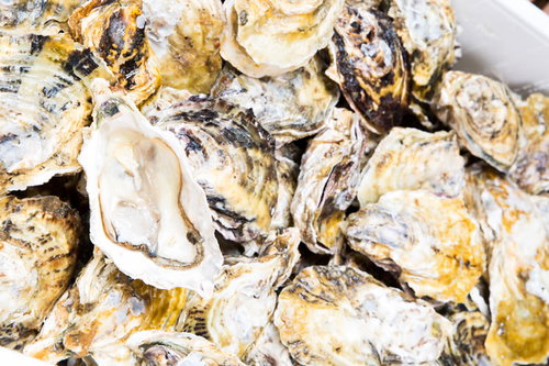 てんこ盛りの生牡蠣（恵比須かき）の殻付き新鮮な牡蠣