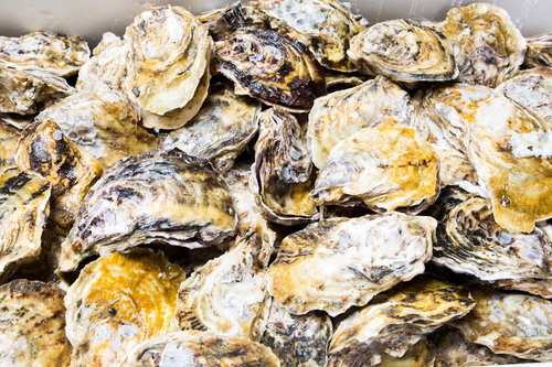 山盛りの殻付き恵比須かき