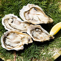 檜葉のザルに盛り付けされた恵比須かき（4個）とレモンの写真