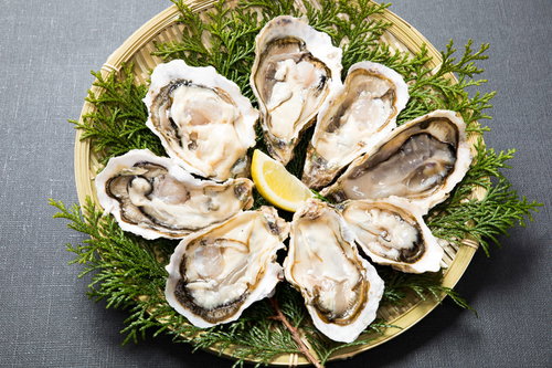 檜葉を敷いたザルに盛り付けた新鮮な生牡蠣