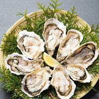 福岡県産の恵比須牡蠣を檜葉のザルに並べた新鮮な生牡蠣の写真