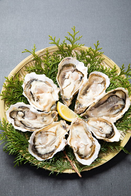 福岡県産の恵比須牡蠣を檜葉のザルに並べた新鮮な生牡蠣