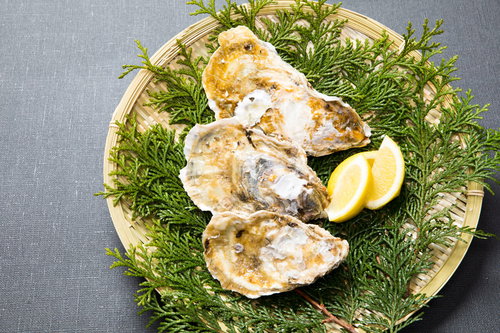 檜葉を敷いたザルに盛られた殻付きの恵比須牡蠣
