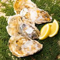 ヒノキ葉に盛り付けた殻付きの生牡蠣（恵比須牡蠣）の写真