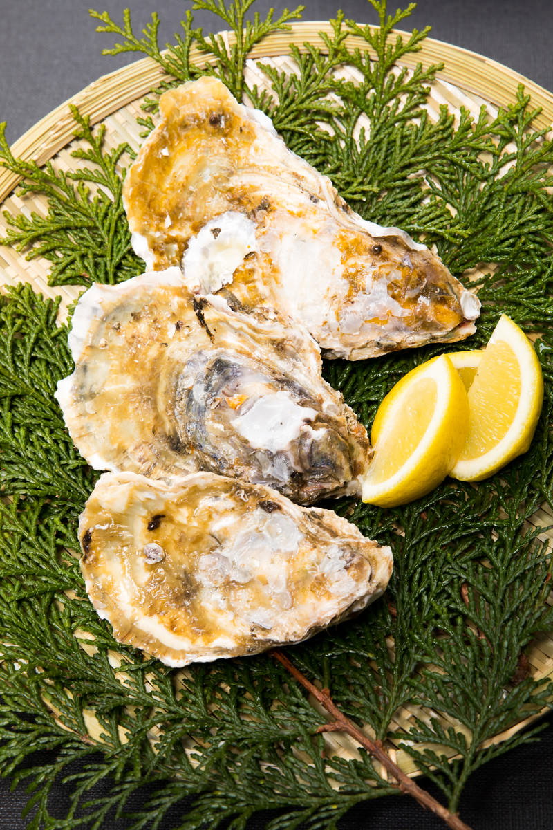 ヒノキ葉の上に盛り付けられた殻付きの恵比須牡蠣3個とレモン