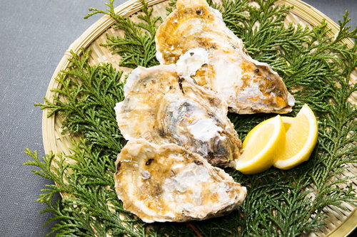 ヒノキ葉に盛り付けた殻付きの恵比須牡蠣3個とレモン