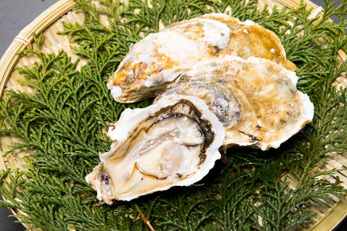 殻付きの最高級生かき、恵比須牡蠣、新鮮で濃厚な味わい