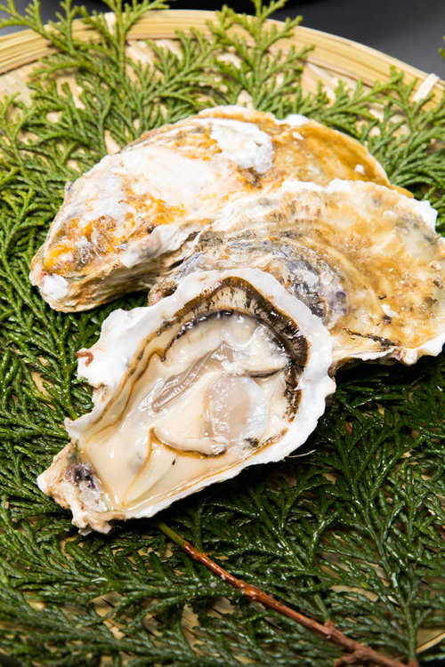 檜葉の上に盛られた恵比須牡蠣と生牡蠣