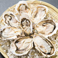 竹ざるに盛られたプリッとした新鮮な生牡蠣（恵比須牡蠣）の写真