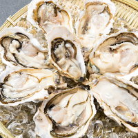 海のミルクと称される栄養豊富な生牡蠣（恵比須かき）の写真