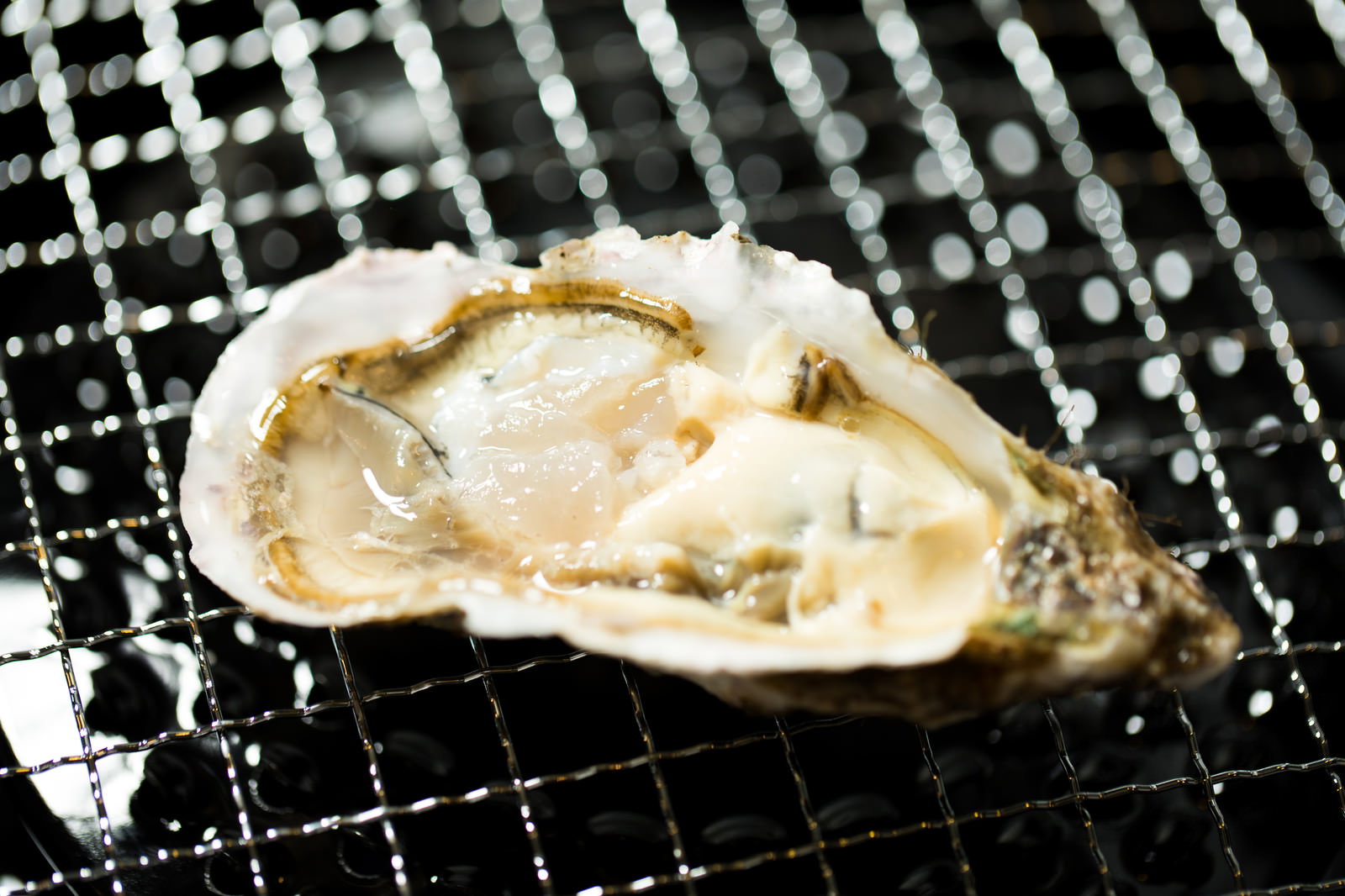 金属製の網の上で焼かれている殻付きの牡蠣
