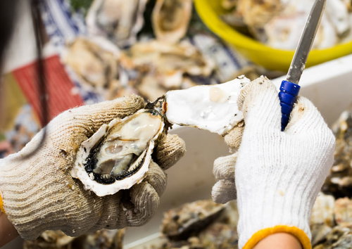 専用ナイフで恵比須牡蠣の殻をむく調理工程