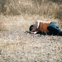 倒れ込むかませ犬、ヤムチャポーズの写真
