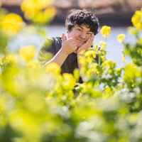 菜の花畑で親指を立てるサムズアップポーズの男性の写真