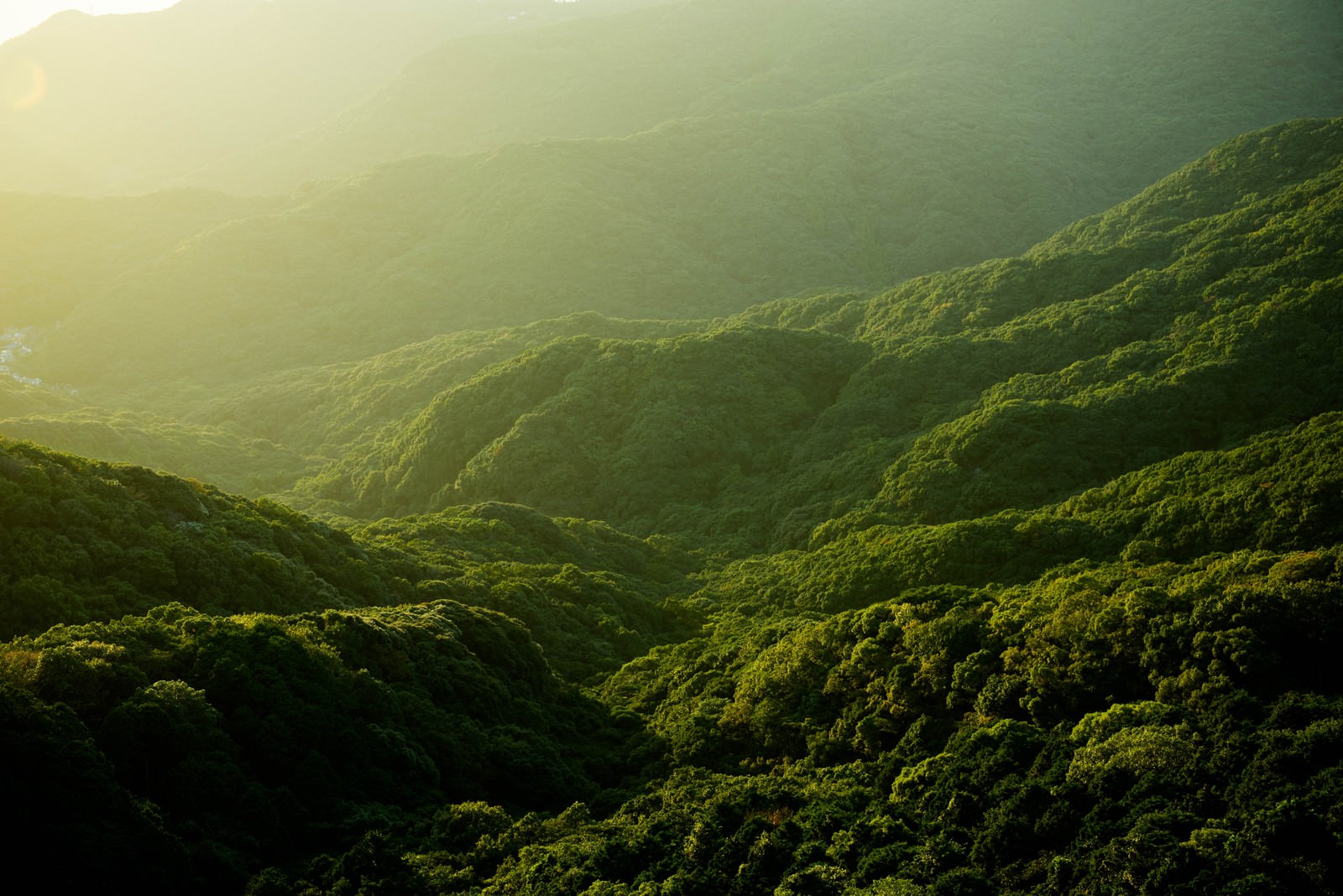 夕日に照らされた緑の山々が重なる夕暮れの風景