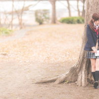 放課後、木陰に隠れて告白のチャンスを伺う女子高生の写真