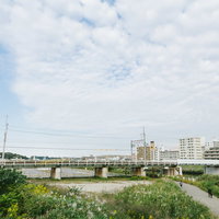 青空広がる綱島の河川敷から見た街並みと鶴見川の写真