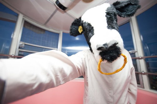 壁ドンして取り立てるエト牛と女性のコミカルなポーズ