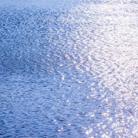 日の出の光が反射する海のボケの写真