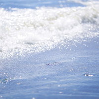 寄せては返す波が砂浜に打ち寄せる海辺の風景の写真
