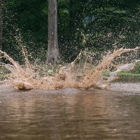 ○✕クイズで不正解の方（泥水バシャーン）池に飛び込む男性の写真