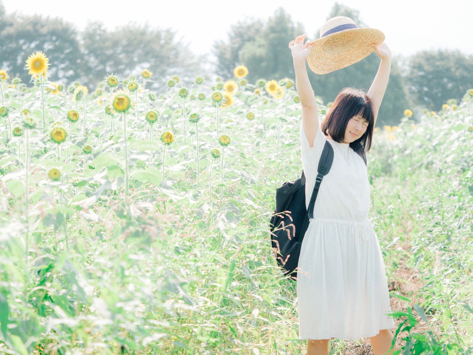 ひまわり畑で麦わら帽をかぶり伸びをする女性［モデル：にゃるる］